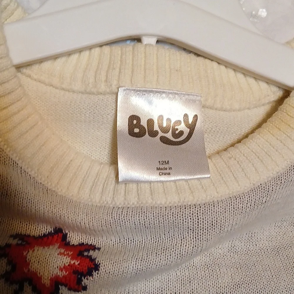 Bluey cozy fun